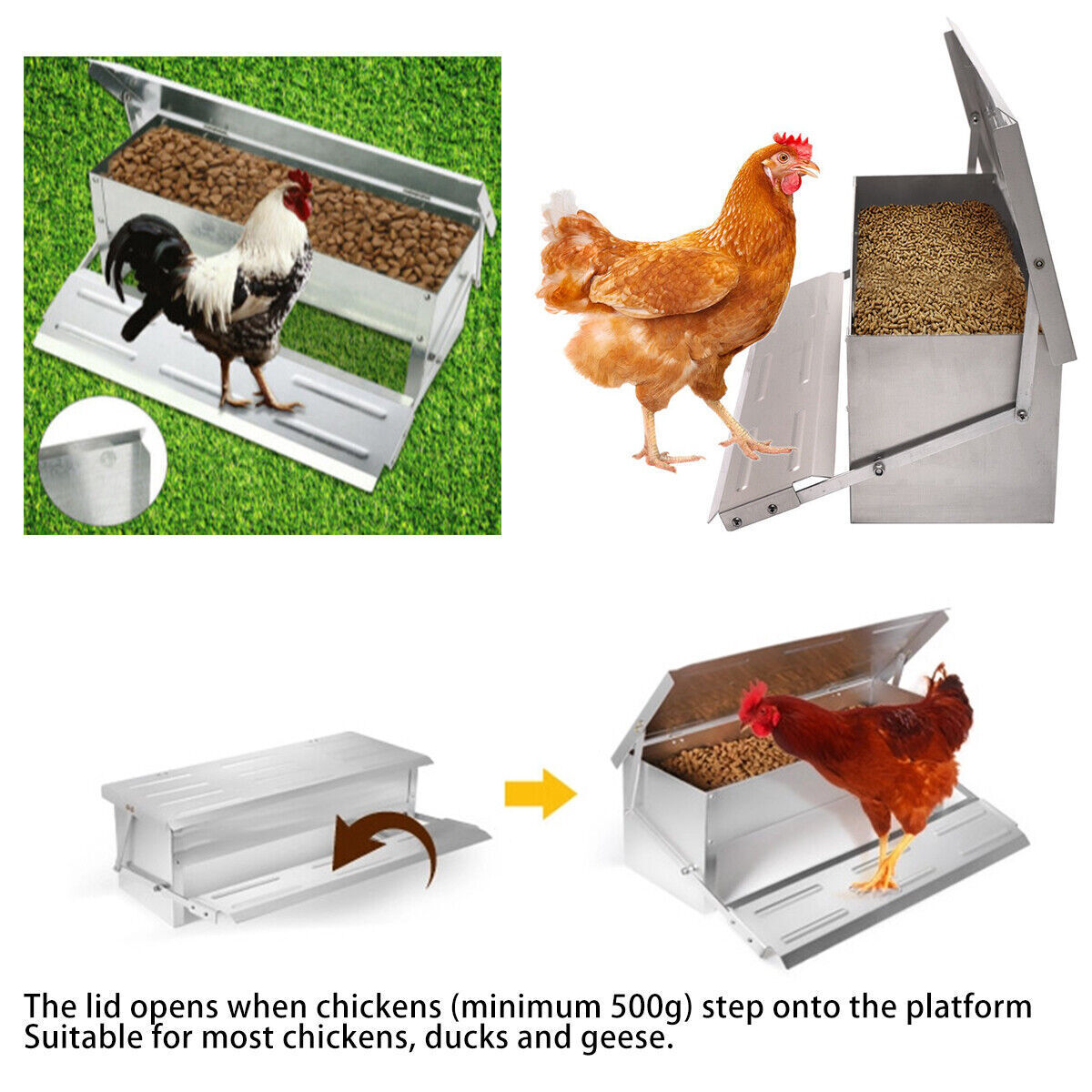 AUTO CHICKEN TREADLE FEEDER POULTRY FOOD BOWL HEN DUCK QUAIL FEED 5KG
