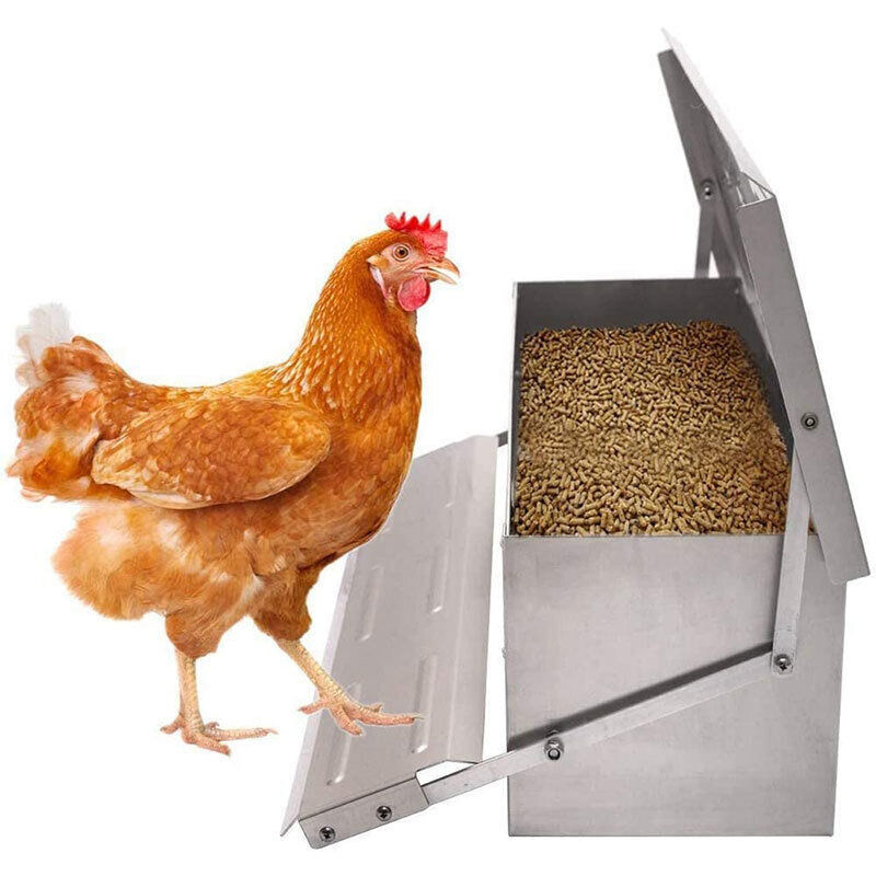 AUTO CHICKEN TREADLE FEEDER POULTRY FOOD BOWL HEN DUCK QUAIL FEED 5KG
