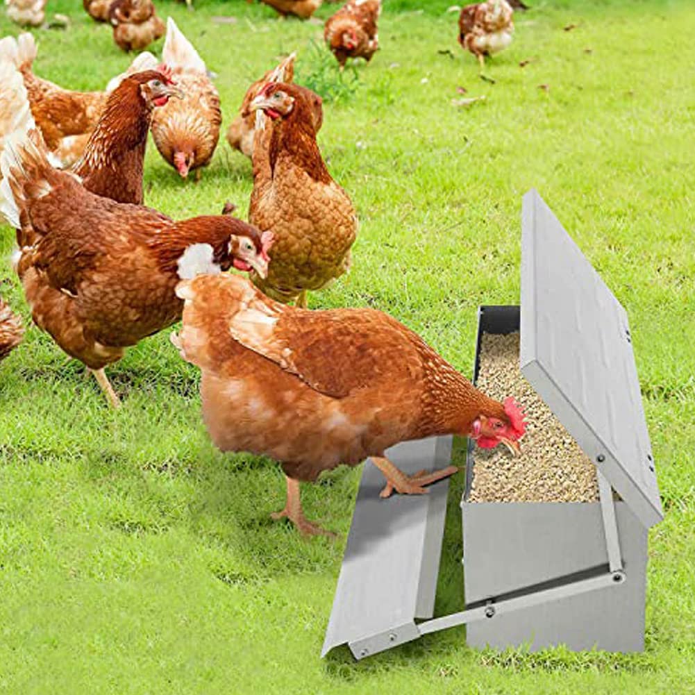 5KG Automatic Chicken Feeder Duck Feeder Rat Proof