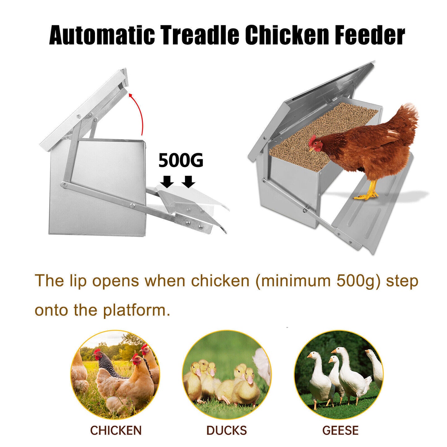AUTO CHICKEN TREADLE FEEDER POULTRY FOOD BOWL HEN DUCK QUAIL FEED 5KG