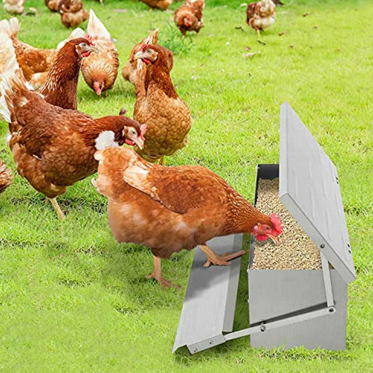 5KG Automatic Chicken Feeder Duck Feeder Rat Proof